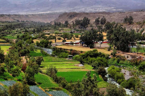 Tour of Arequipa and its viewpoints