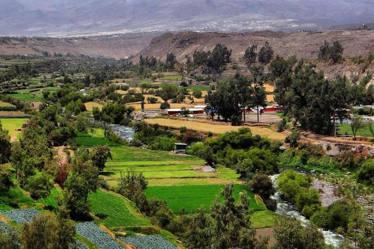 Tour of Arequipa and its viewpoints