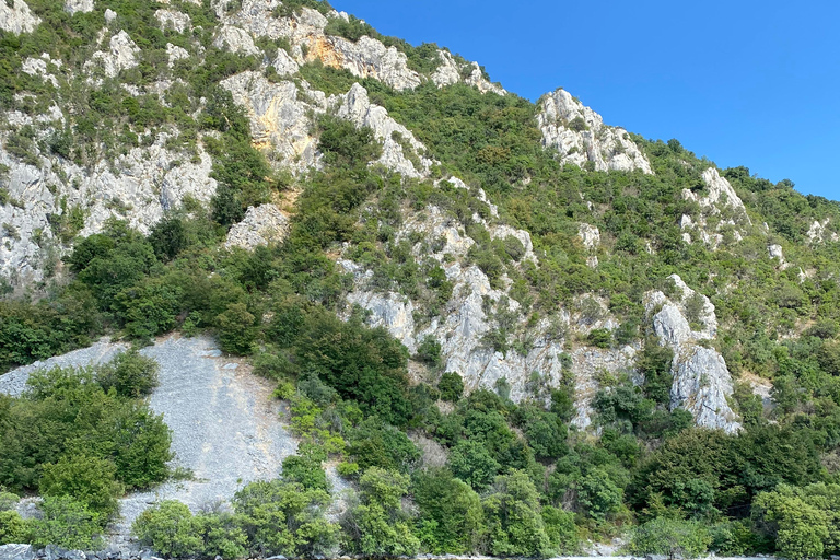 Ohrid: Lake Ohrid Boat Cruise with Swimming Stops