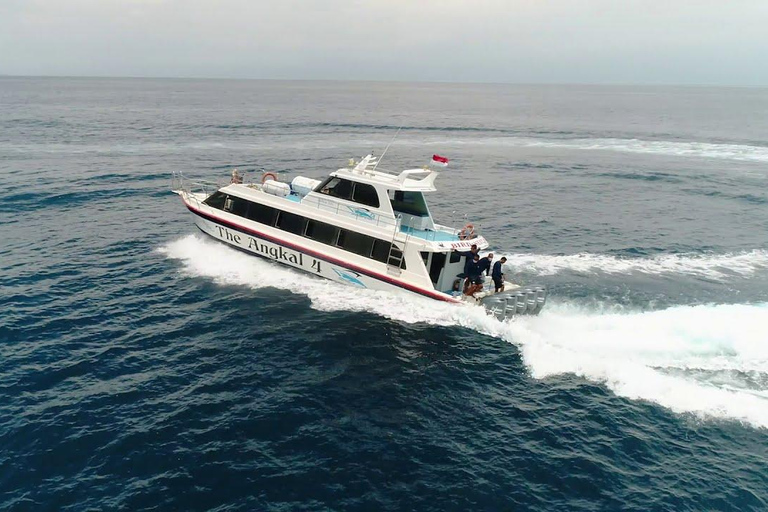 Bali: Nusa Penida Fast Boat Transfer Bali: Sanur to Nusa Penida Fastboat Transfer