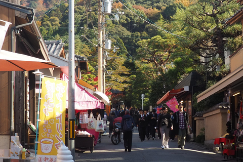 E-Bike Tour in Kyoto with Asuka, Japanese graduate student