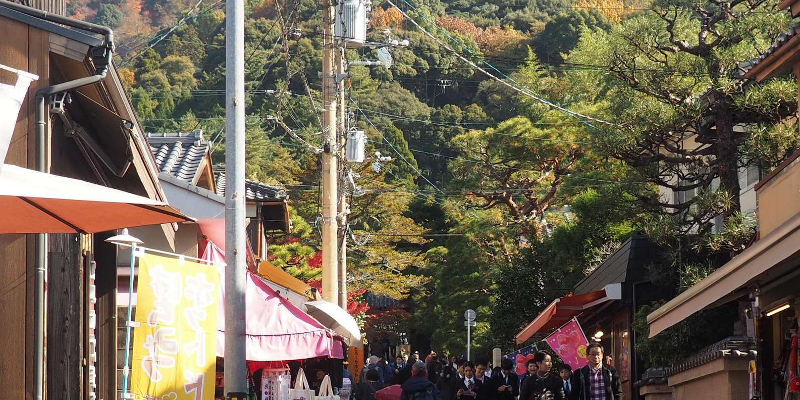 Kyoto experience — temples, geisha, bamboo grove — image 62