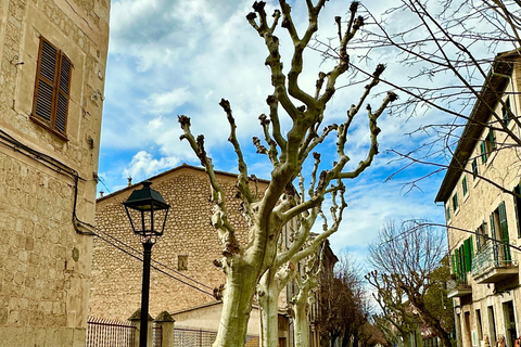 PRIVÉ Port de Sóller, Sóller en Sa Foradada Sunset Tour