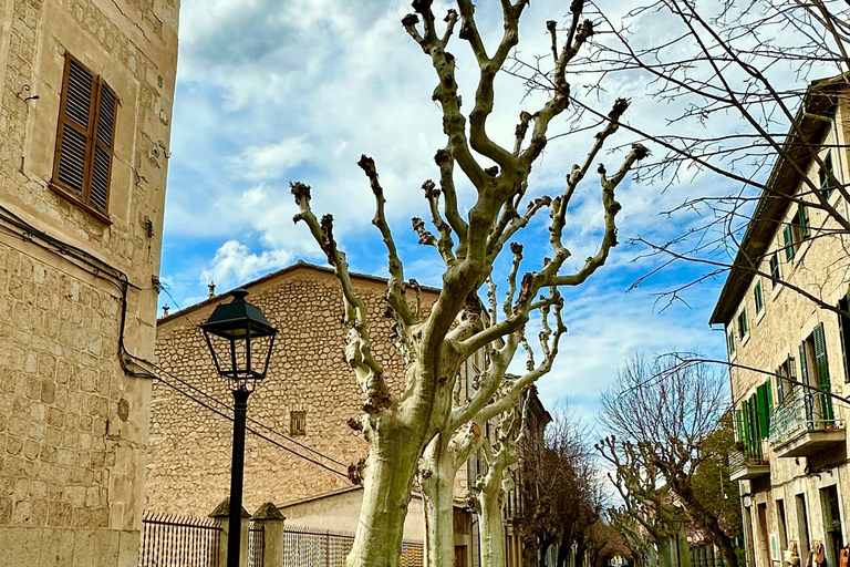 PRIVÉ Port de Sóller, Sóller en Sa Foradada Sunset Tour