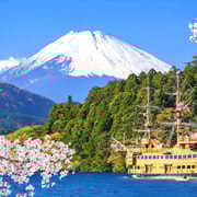 東京発、富士山＆箱根、芦ノ湖、海賊船（無料）＋ケーブルカー