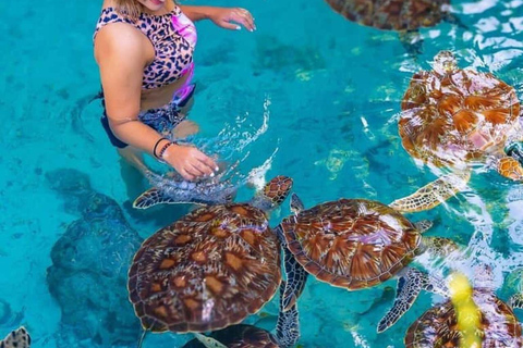 Zanzibar: Swim with Turtles, The Rock & Mtende Beach Private Tour with No Hotel transfer