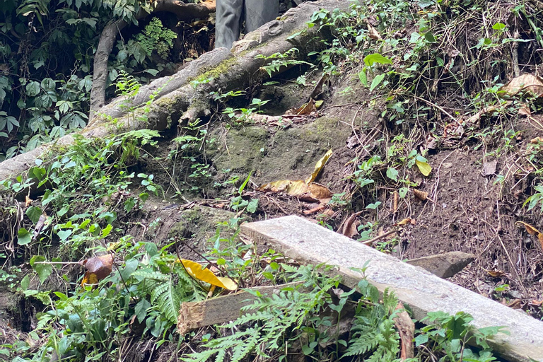 Mont Meru Arusha : randonnée aux chutes d&#039;eau de Napuru par Kingstone Asilia