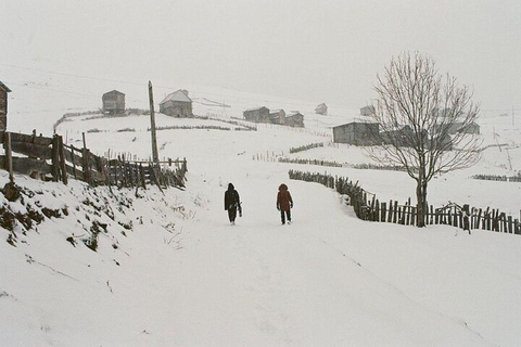 From Batumi: Bakhmaro Winter Tour with Nabeghlavi Stop
