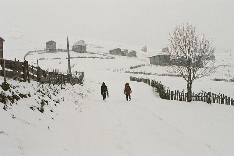 From Batumi: Bakhmaro Winter Tour with Nabeghlavi Stop