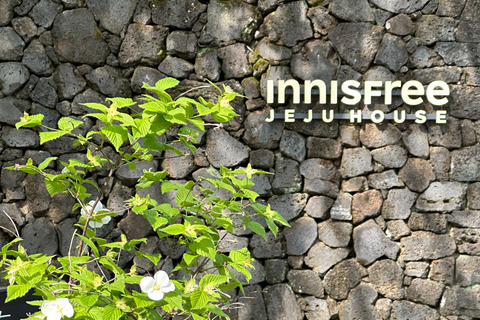 Jeju West: Healing UNESCO Small Group Day Tour