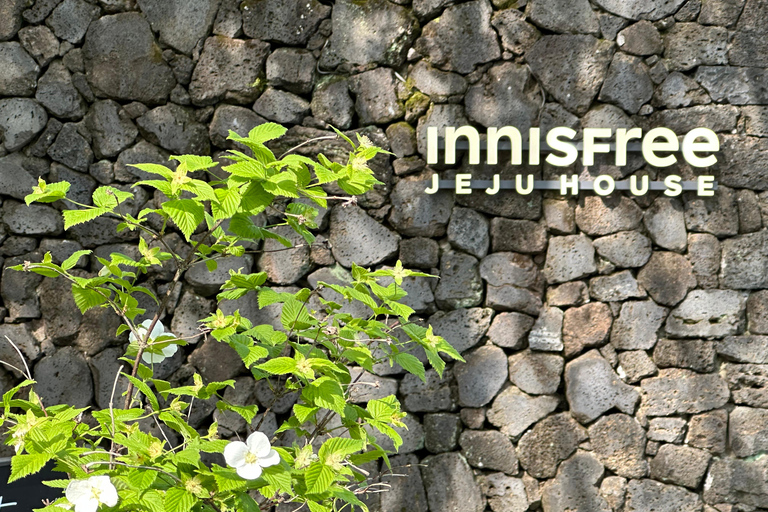 Jeju West: Healing UNESCO Small Group Day Tour