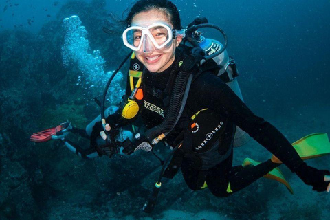 Mirissa: Dolphin Swim Blue Whale Snorkelling | All-Inclusive Mirissa: Scuba Diving & Turtle Snorkelling Experience