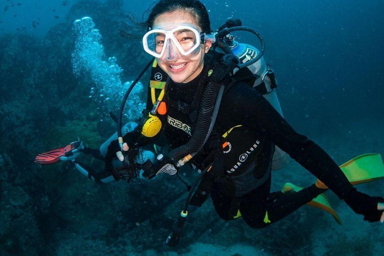 Mirissa: Dolphin Swim Blue Whale Snorkelling | All-Inclusive Mirissa: Scuba Diving & Turtle Snorkelling Experience