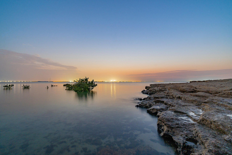 Doha : Visite privée du nord du Qatar, mangroves et fort de Zubara