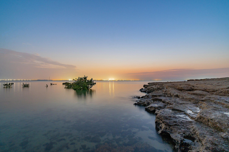 Doha : Visite privée du nord du Qatar, mangroves et fort de Zubara