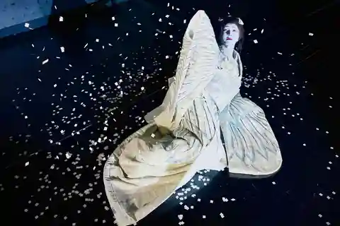 Tokyo: Authentic Japanese Dance Show ticket by professionals