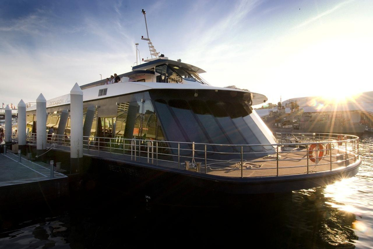 悉尼除夕游船 2025 Bella Vista 号