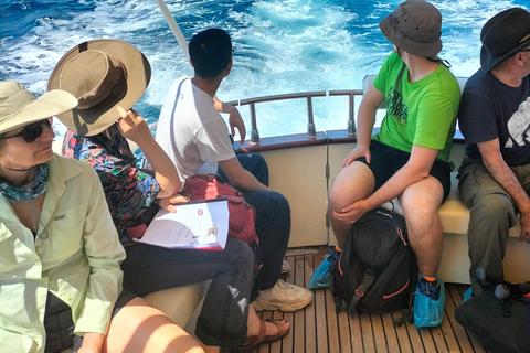 Boat trip to Santa Cesarea Terme from Castro