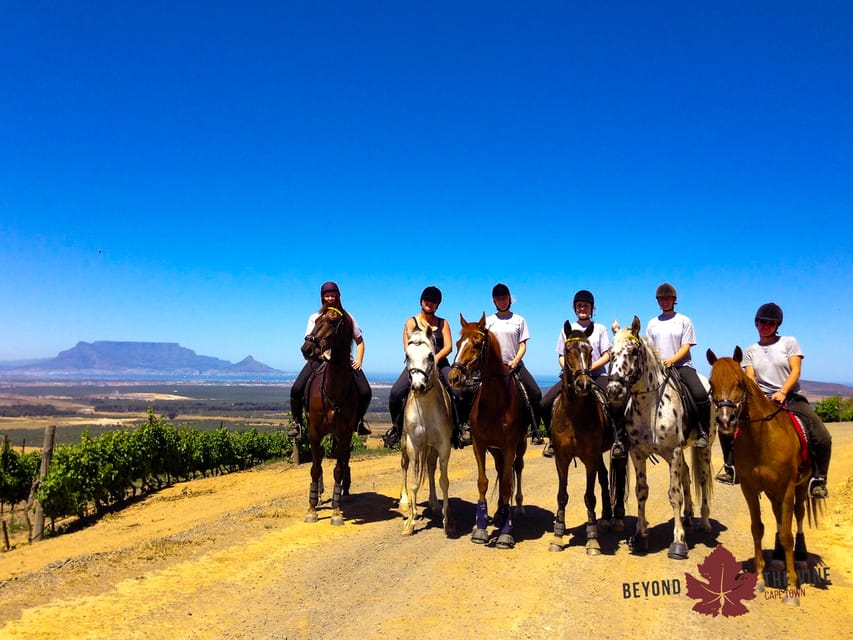 Cape Town Horse Riding Experience GetYourGuide