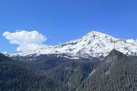From Seattle: Mt Rainier NP Private Day Trip