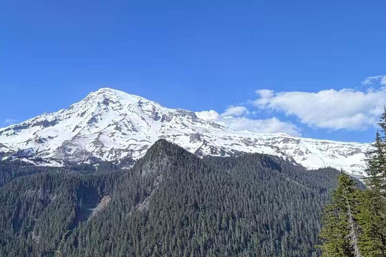 From Seattle: Mt Rainier NP Private Day Trip