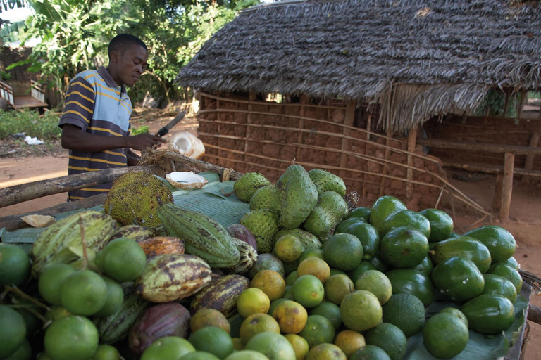 Zanzibar: Visita a uma quinta de especiariasPreço geral