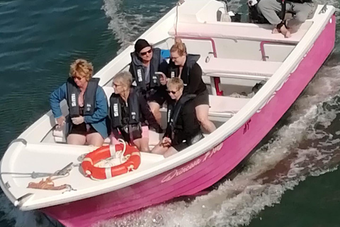 Lagos: Passeio de barco para as grutas da Ponta da Piedade e cavernas