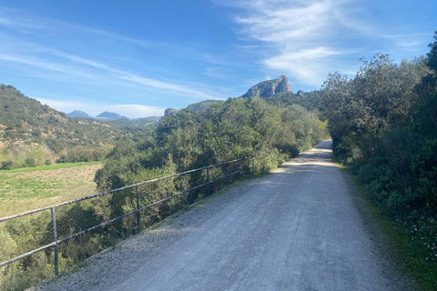 From Ronda: Cycling - Via Verde de la Sierra-Easy Difficulty From Ronda: Cycle the Via Verde de la Sierra