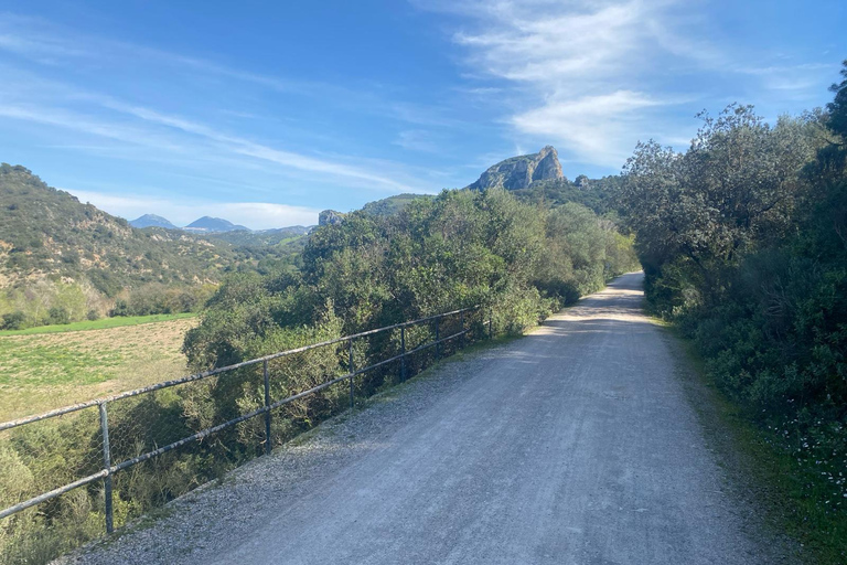 Z Rondy: łatwa trasa rowerowa Via Verde de la Sierra