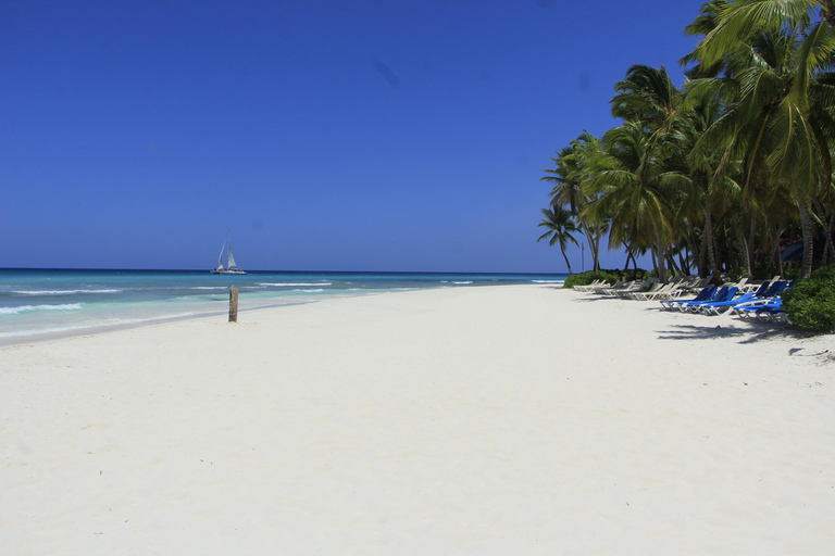 Punta Cana: Saona Island & Altos de Chavón Day Trip