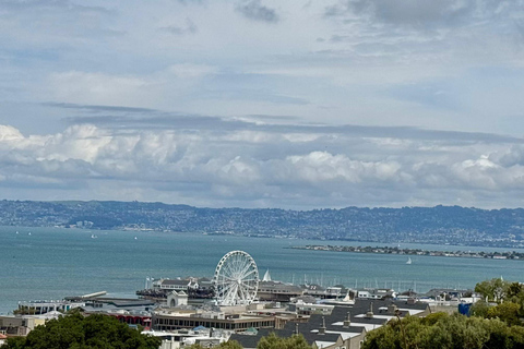 De San Francisco Tour Co. Luxe Eco Stadsrondleiding