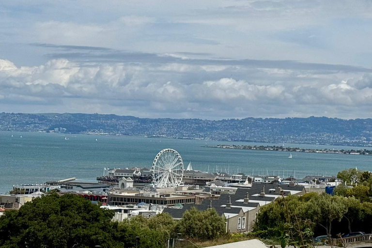 De San Francisco Tour Co. Luxe Eco Stadsrondleiding