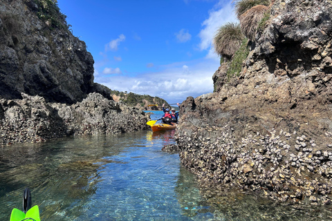 Bay of Islands: Island Discovery Kayak Tour - Afternoon