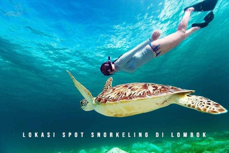 Gili Islands: Snorkeling Sharing Group Tour with Photos