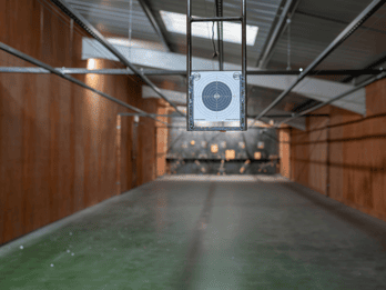 Newton Abbot: Rifle Range