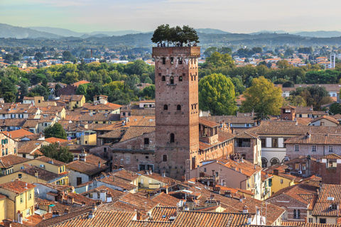 Tour privato di Pisa e Lucca e biglietto per la Torre Pendente
