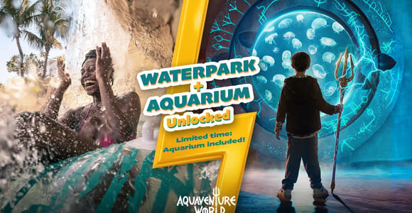 Дубай: абонемент на день в аквапарк Aquaventure World