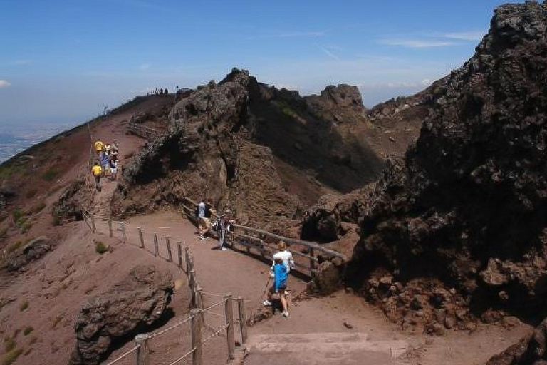 From Sorrento: Mount Vesuvius E-bike Tour