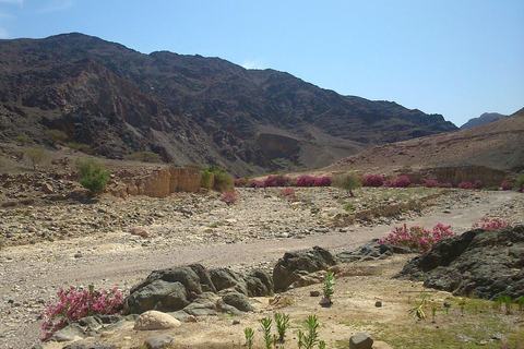 Amman: Dana to Petra 4-Day Trekking Adventure