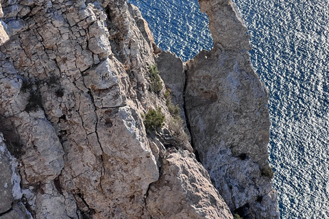 IBIZA: ESCURSIONE A ES VEDRA
