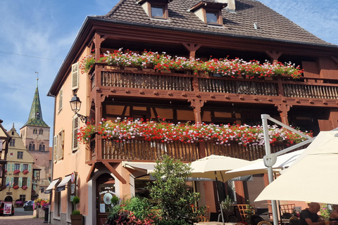 Alsace: Den legendariska vinvägen med provsmakning och lunch