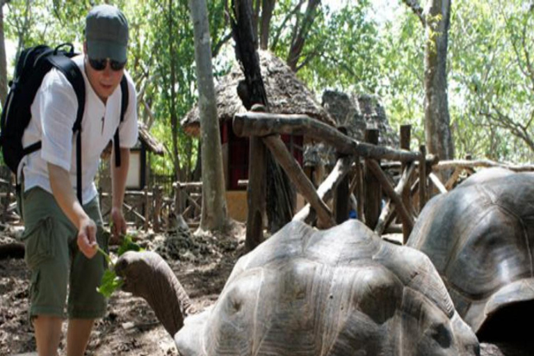 FROM NUNGWI/KENDWA:STONE TOWN, PRISON ISLAND & JOZANI FOREST Private tour include hotel pick up and drop off