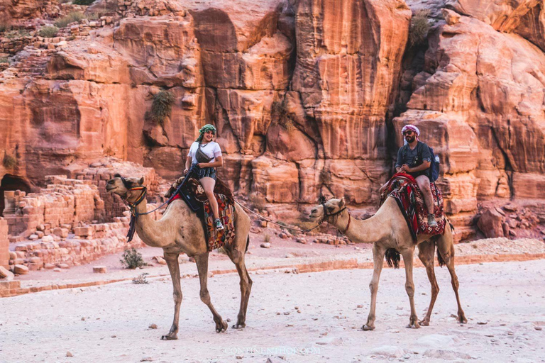 Tour privado de día completo a Petra desde Ammán