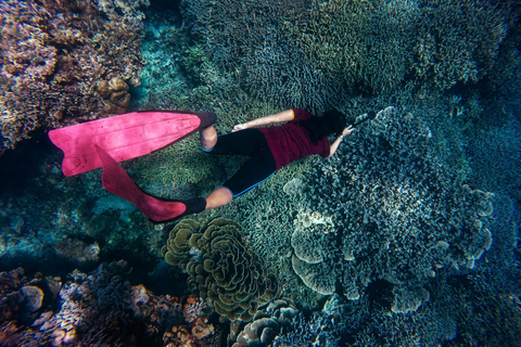 Zanzibar e Mikumi: safari di 5 giorni con volo inclusoSafari di 5 giorni con volo incluso a Zanzibar e Mikumi