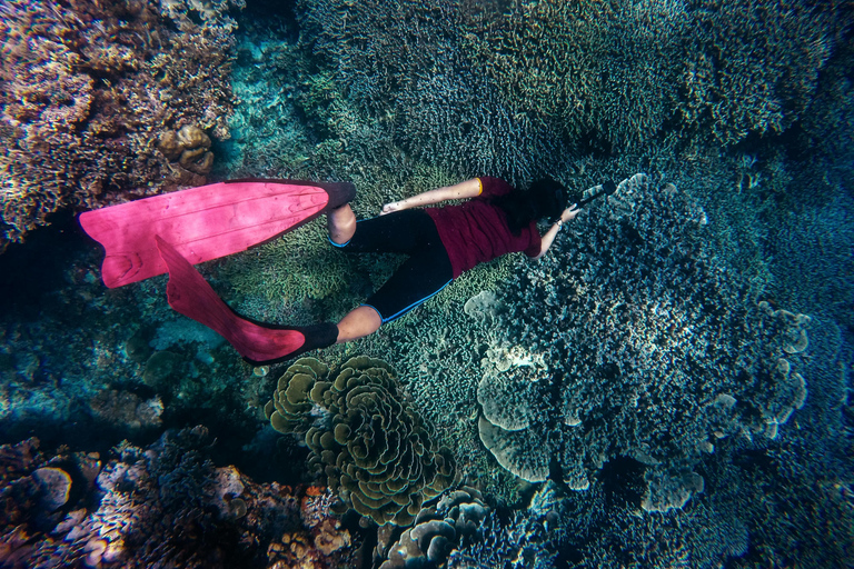 Zanzibar e Mikumi: safari di 5 giorni con volo inclusoSafari di 5 giorni con volo incluso a Zanzibar e Mikumi