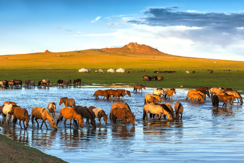 From Ulaanbaatar: 7-Day Mongolian Nomad Challenge Tour