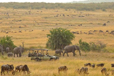 Majestic landscapes: A 5day Safari Adventure