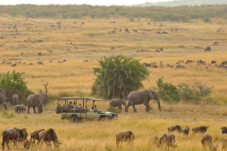 Majestic landscapes: A 5day Safari Adventure