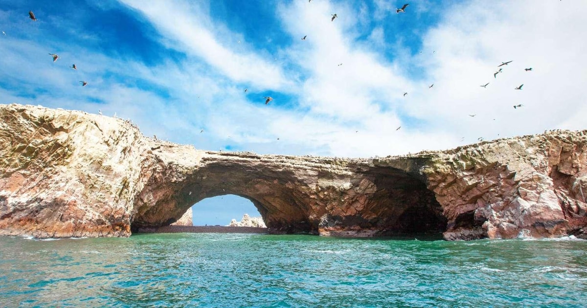 Passeio Ilhas Ballestas E A Reserva Nacional De Paracas Getyourguide