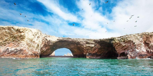Visit Tour Ballestas Islands and the Paracas National Reserve in Huacachina